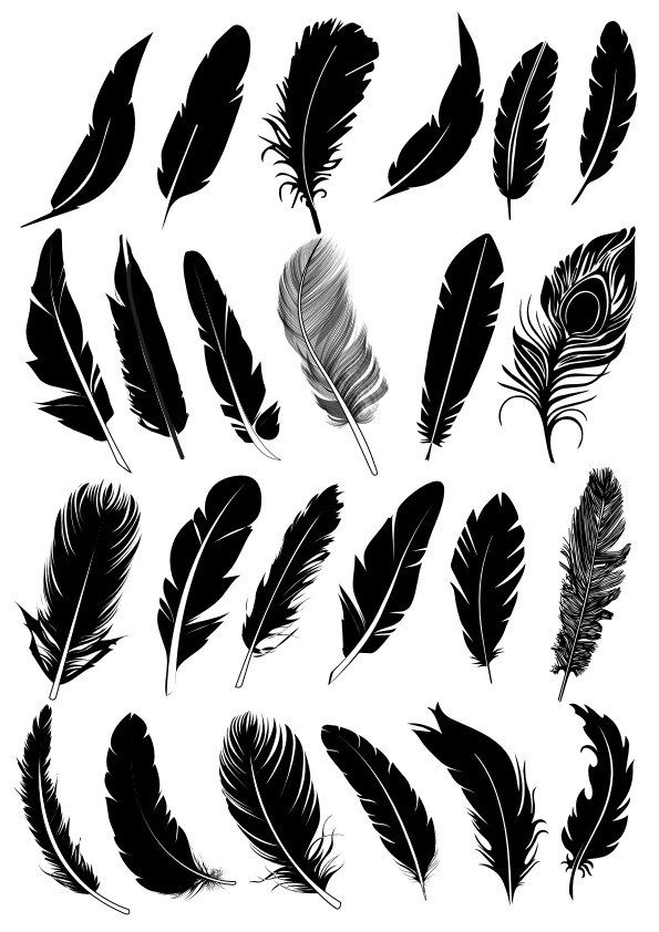 595x842 Black Feather Vector Collection Free Vector Cdr Free Download