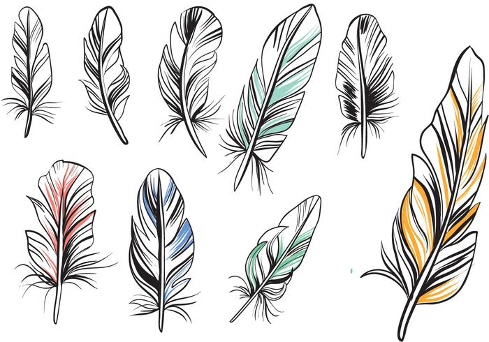 700x490 Free Vintage Feathers Vectors