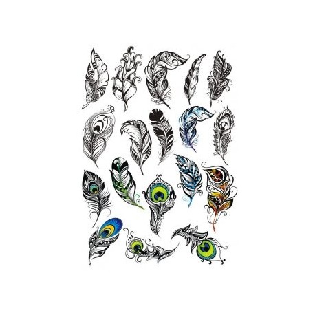 458x458 Peacock Feather Vector Set Free Vector