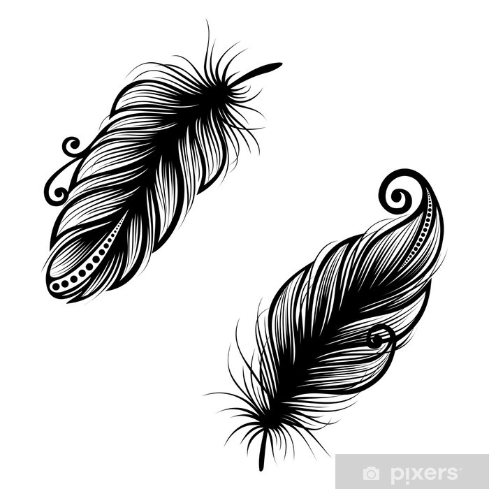 700x700 Peerless Decorative Feather