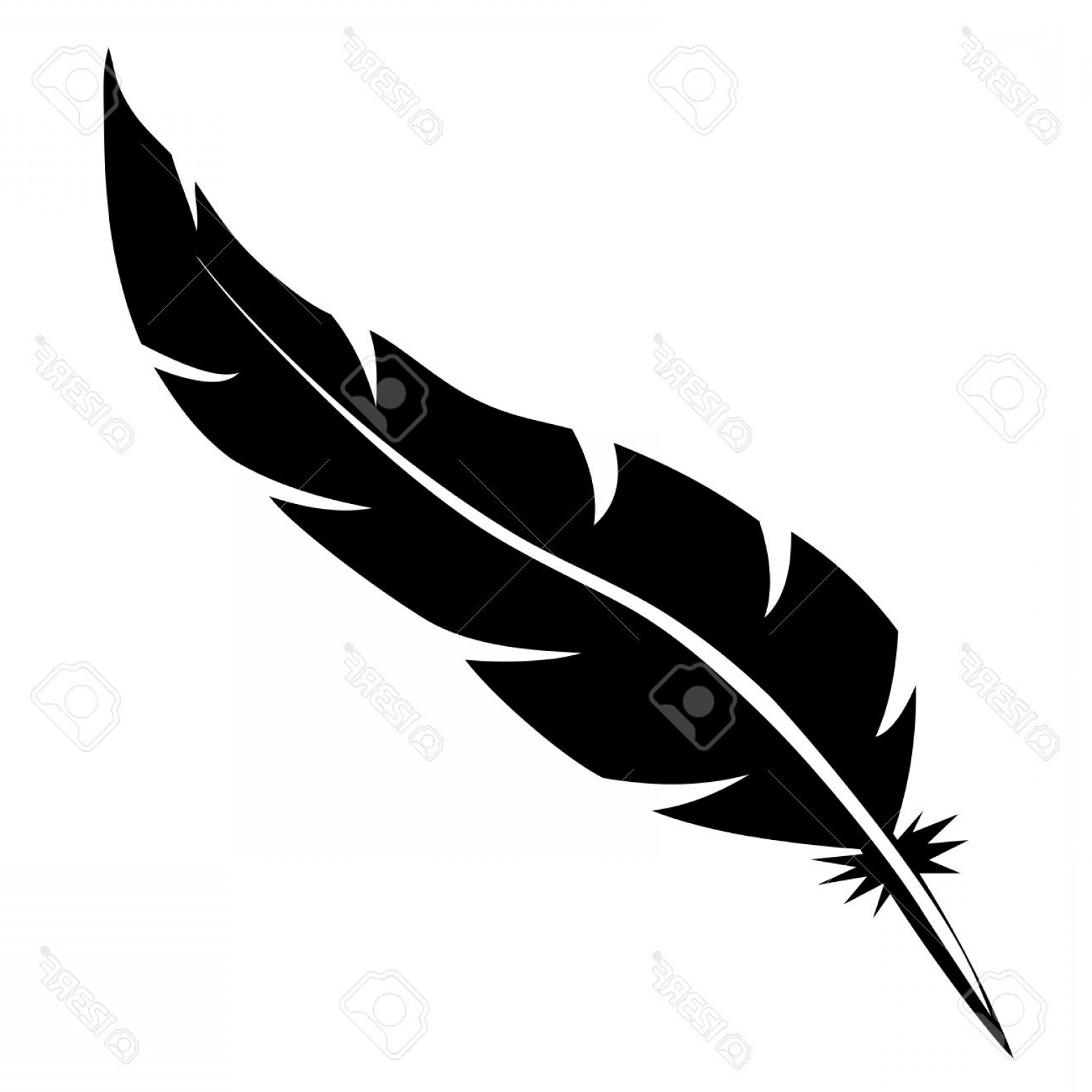 1560x1560 Photostock Vector Blank Bird Feather Vector Shape Isolated