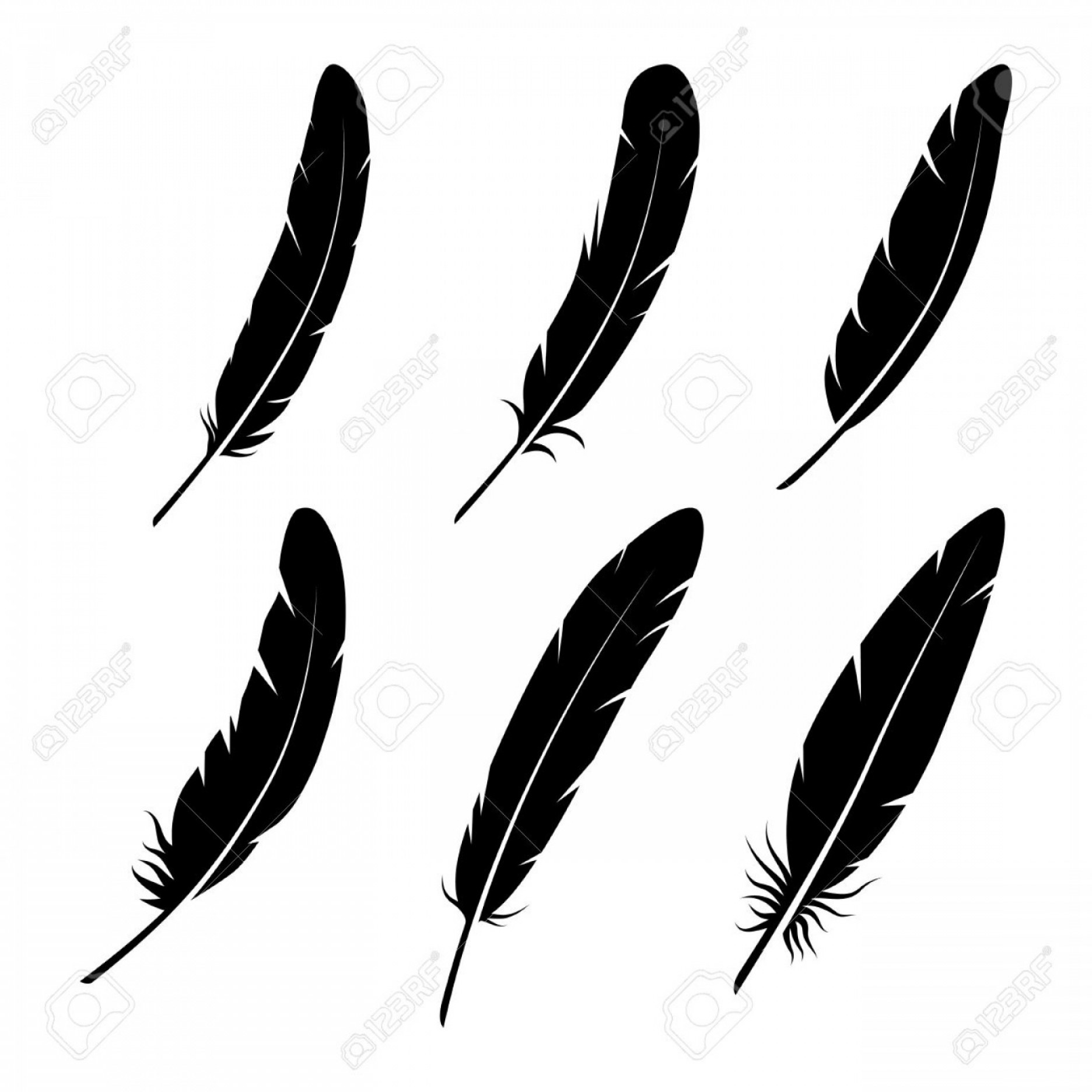 1872x1872 Photostock Vector Feathers Vector Black And White Silhouette