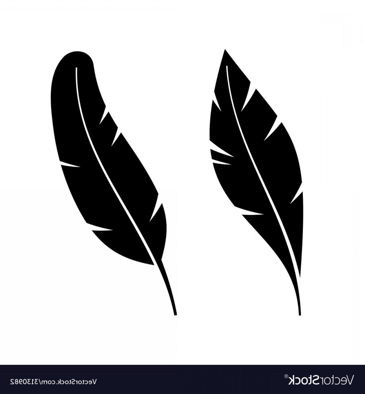 1200x1296 Two Icon Style Feathers Vector Soidergi