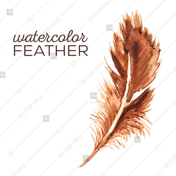 600x600 Watercolor Feather Vector Clip Art Boho Decoration Bouquet