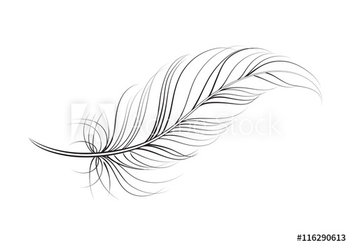 500x350 Clip Art Feather, Vector