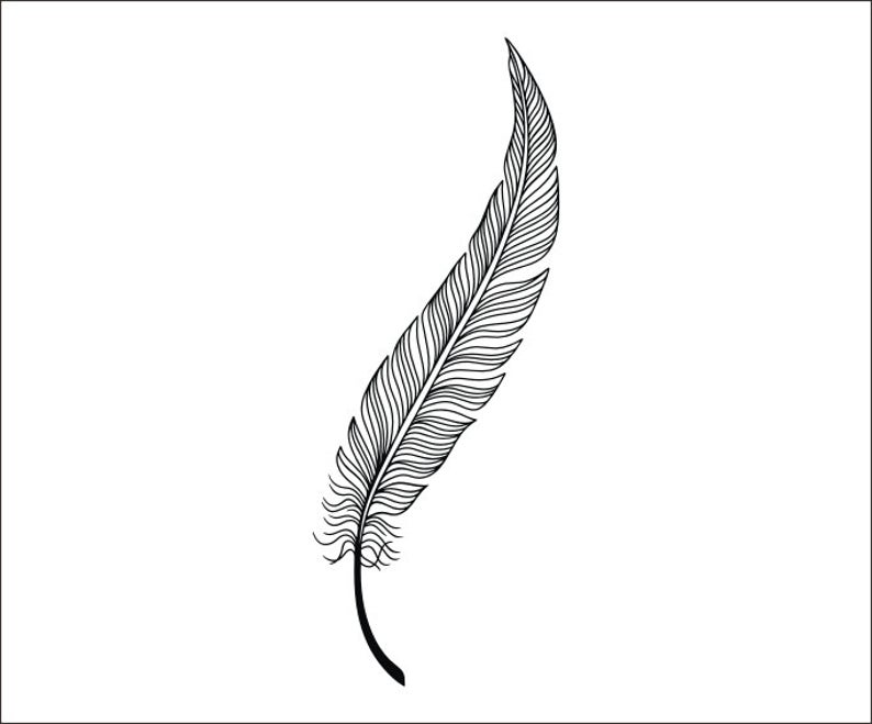 794x659 Decorative Feather Digital Instant Download Feather Vector Etsy