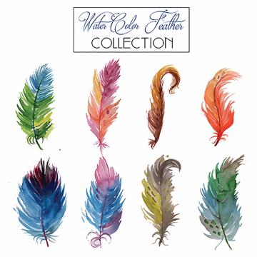 360x360 Feather Vector, Free Download Peacock Feather, Feathers, Feather