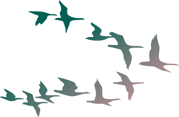 600x392 Flock Of Birds Clipart