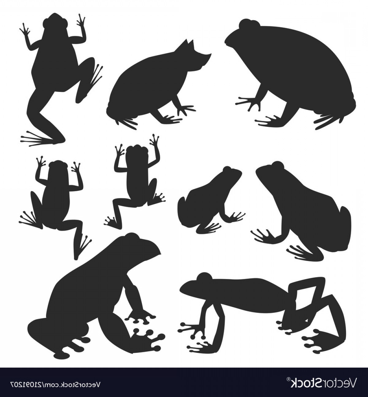 1200x1296 Frog Silhouette Cartoon Tropical Wildlife Vector Catchsplace