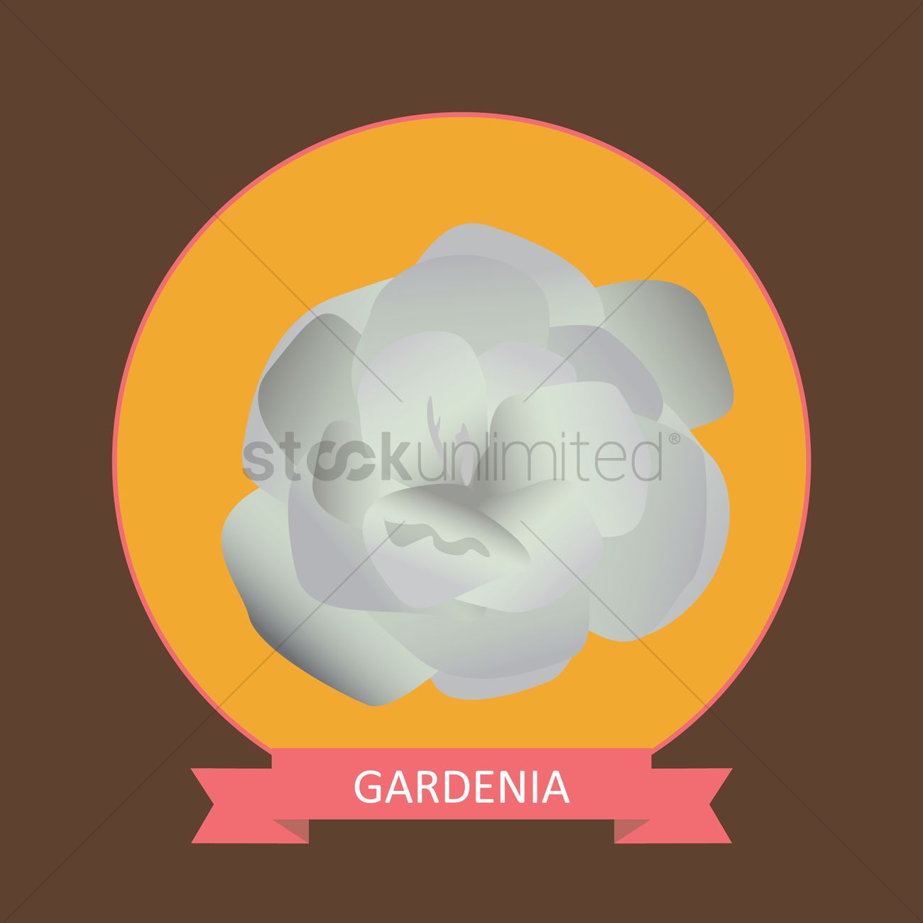 1300x1300 Gardenia Vector Image