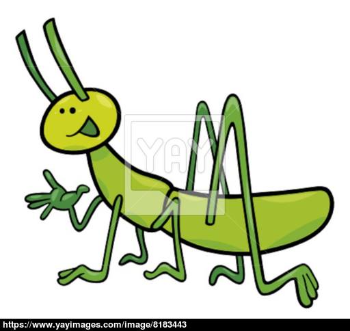 512x484 Funny Grasshopper Vector