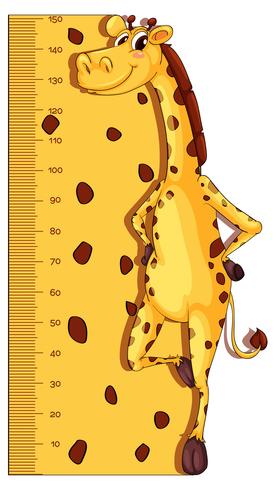 276x490 Height Measurement Chart With Giraffe In Background