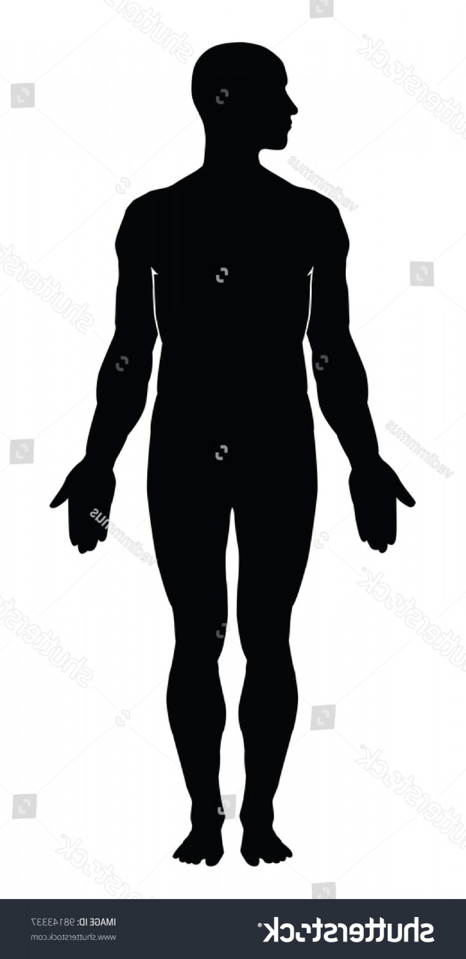 934x1920 Human Body Outline Vector Illustration Soidergi