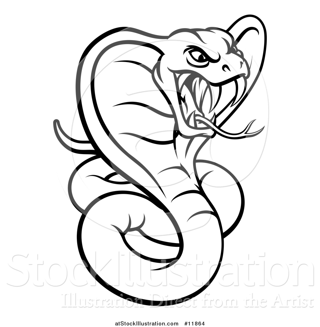 1024x1044 Vector Illustration Of A Black And White Angry Green King Cobra