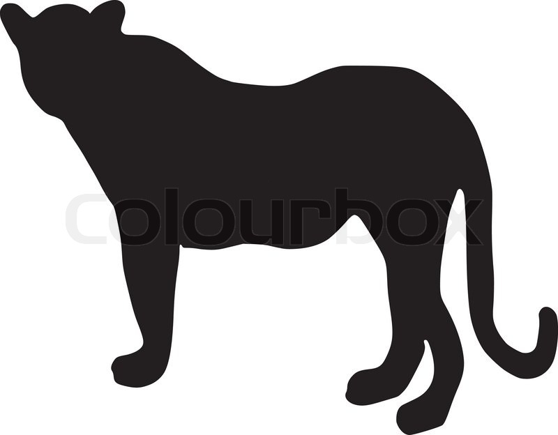 800x624 Silhouette Of Leopard Stock Vector Colourbox