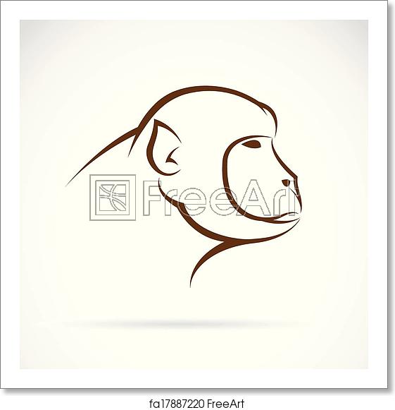 561x581 Free Art Print Of Vector Image Of An Monkey Face Vector Image