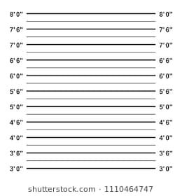 260x280 Police Mug Shot Vector Inch Height Lineup Mugshot Background