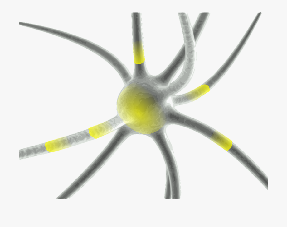 920x730 Neuron Synapse Science Free Vector Graphic