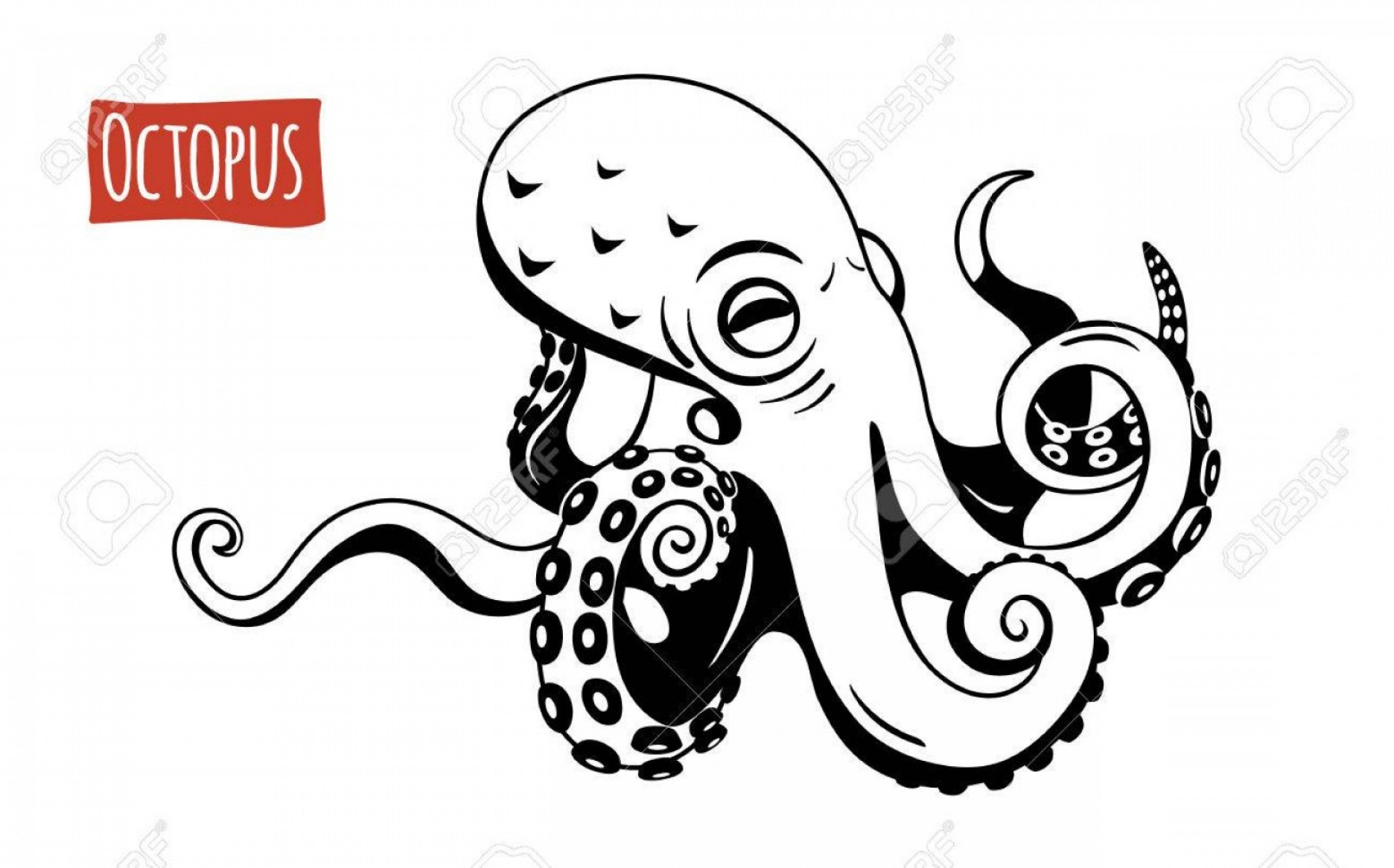 1872x1166 Photostock Vector Octopus Vector Illustration Cartoon Style