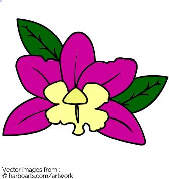 335x355 Download Orchid