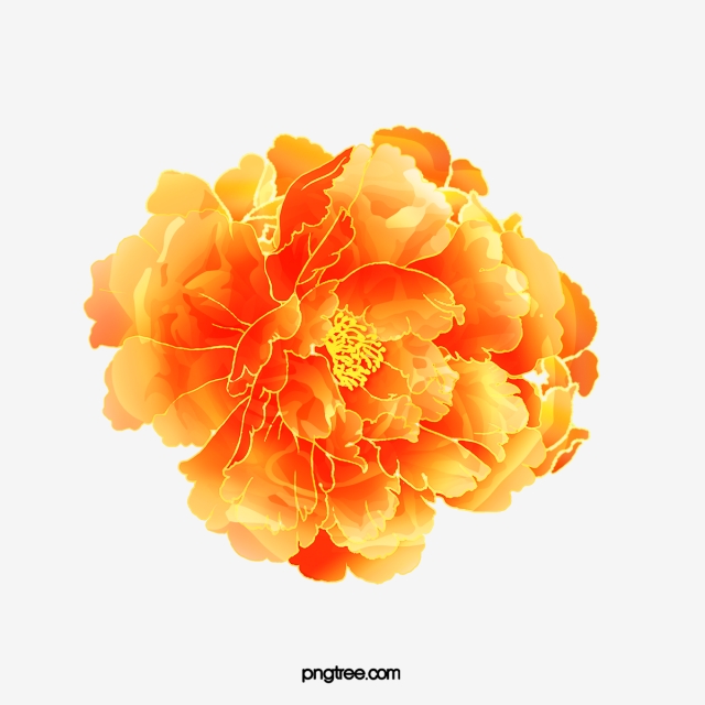 640x640 Peony Flower Png, Vector, And Clipart With Transparent