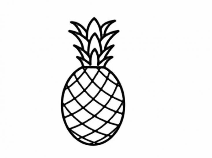 734x548 Pineapple Drawing Outline Tutorial Vector Easy Realistic Step