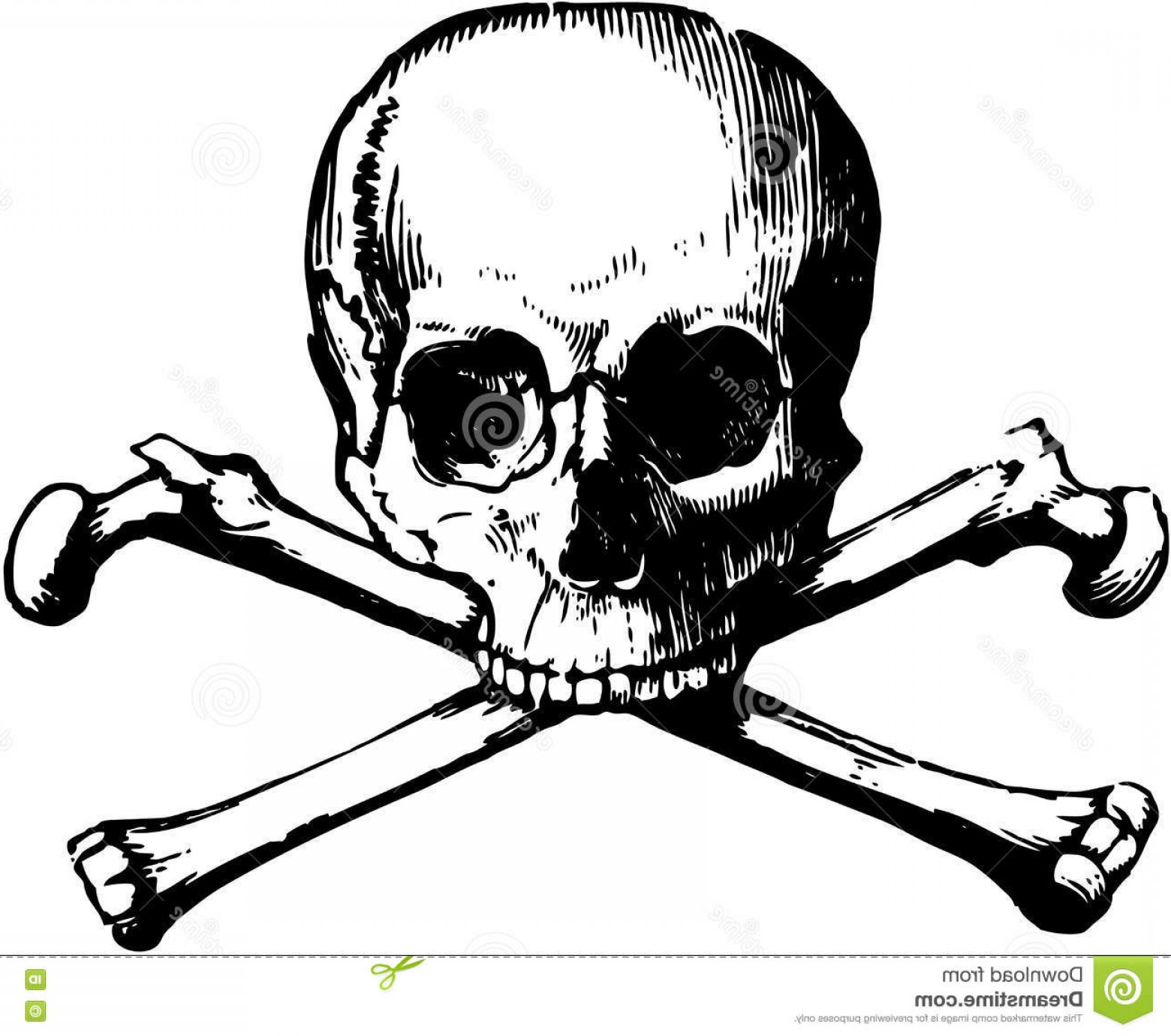 1560x1380 Stock Illustration Vector Skull Crossbones Black White Like Pirate