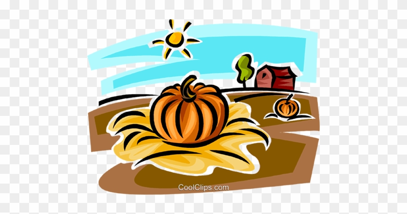 840x443 Pumpkin In Farmers Field Royalty Free Vector Clip Art