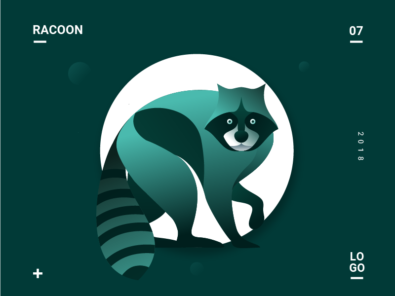 800x600 Racoon