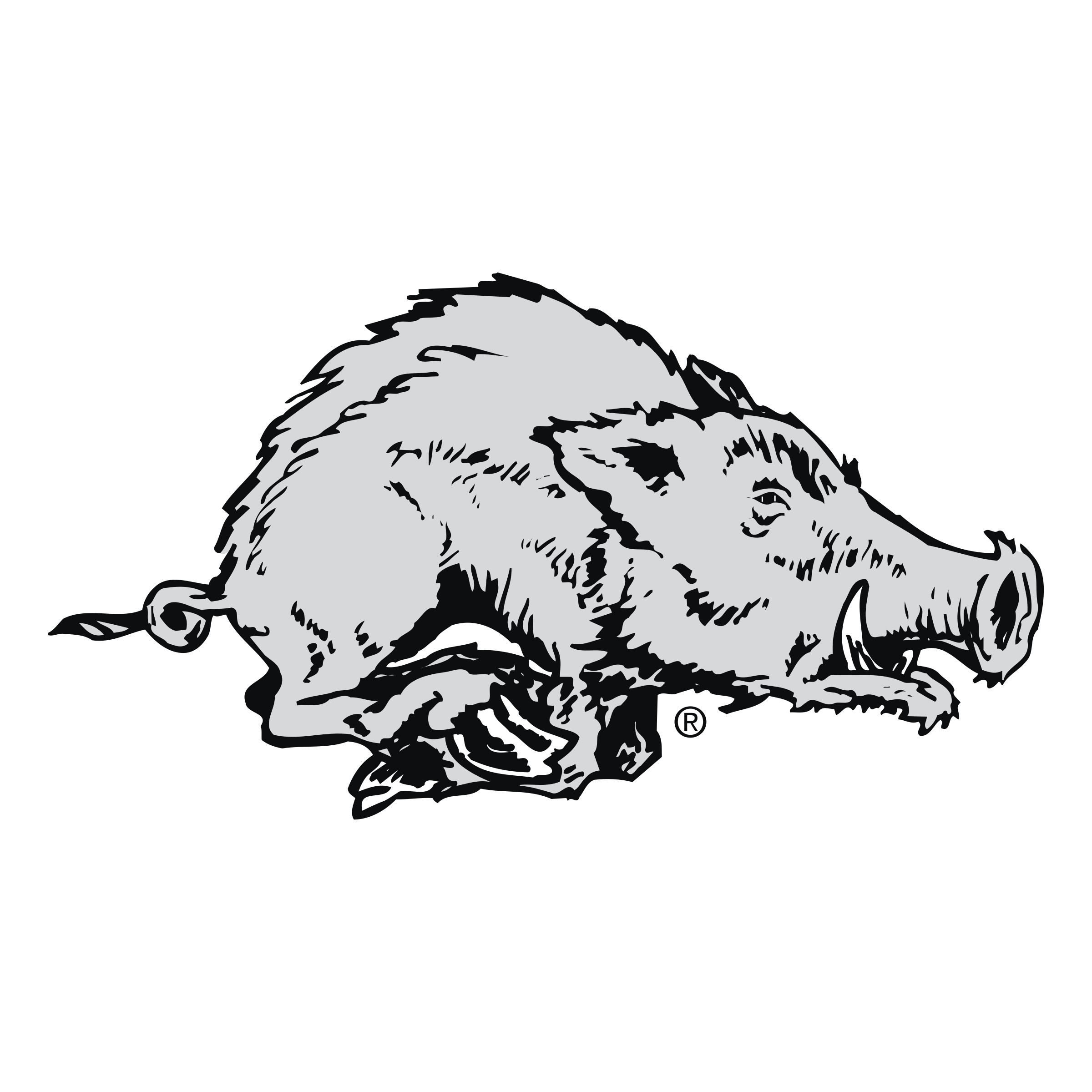2400x2400 Arkansas Razorback Logo Png Transparent Vector