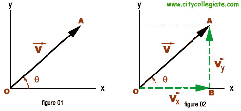 487x225 Resolution Of Vector Rectangular Components Of A Vector Horizontal