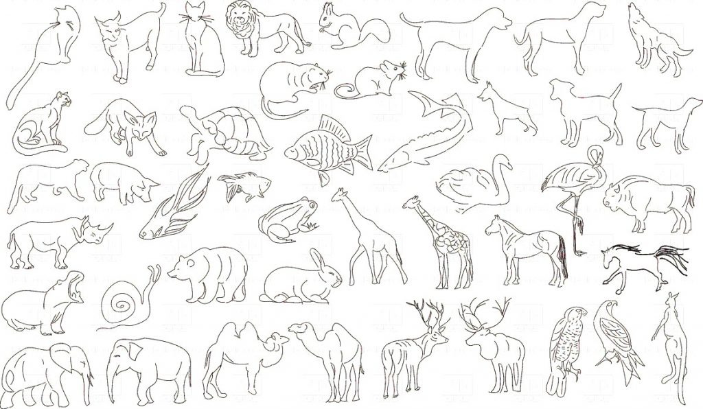 1024x596 High Tech Zoo Animal Outlines Set Of Animals Rough Vector Image