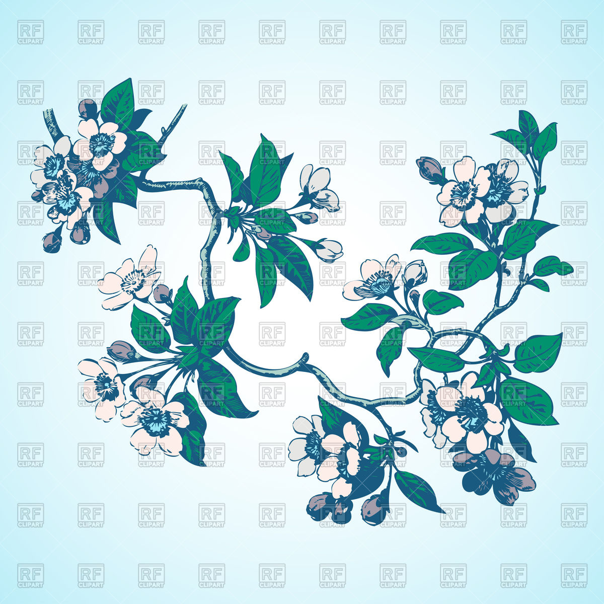 1200x1200 Cherry Branches With Flowers