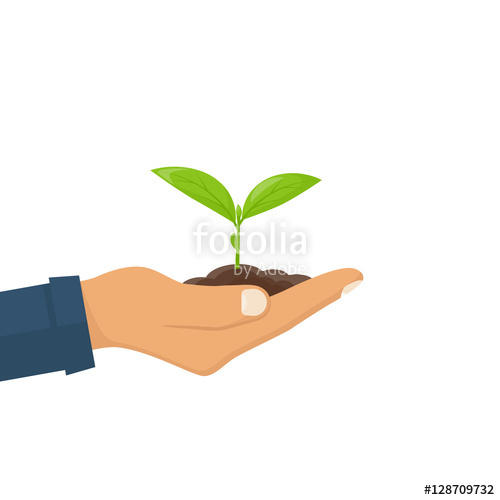 500x500 Planting Sapling Vector Stock Image And Royalty Free Vector