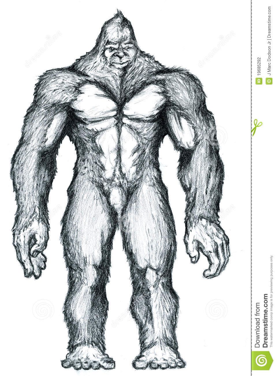 959x1300 Vector Bigfoot Images Bigfoot Drawing Drawn With Graphite