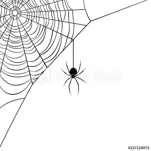 500x500 Vector Illustration Of A Corner Webspider Design