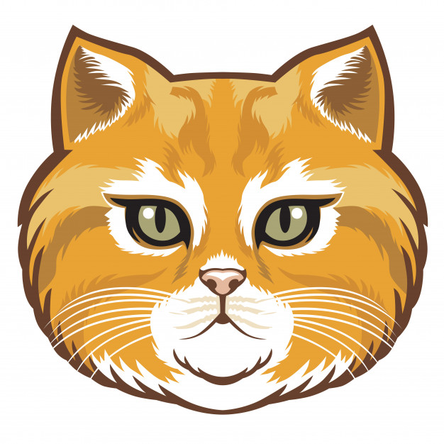 626x626 Cute Cat Head Vector Premium Download