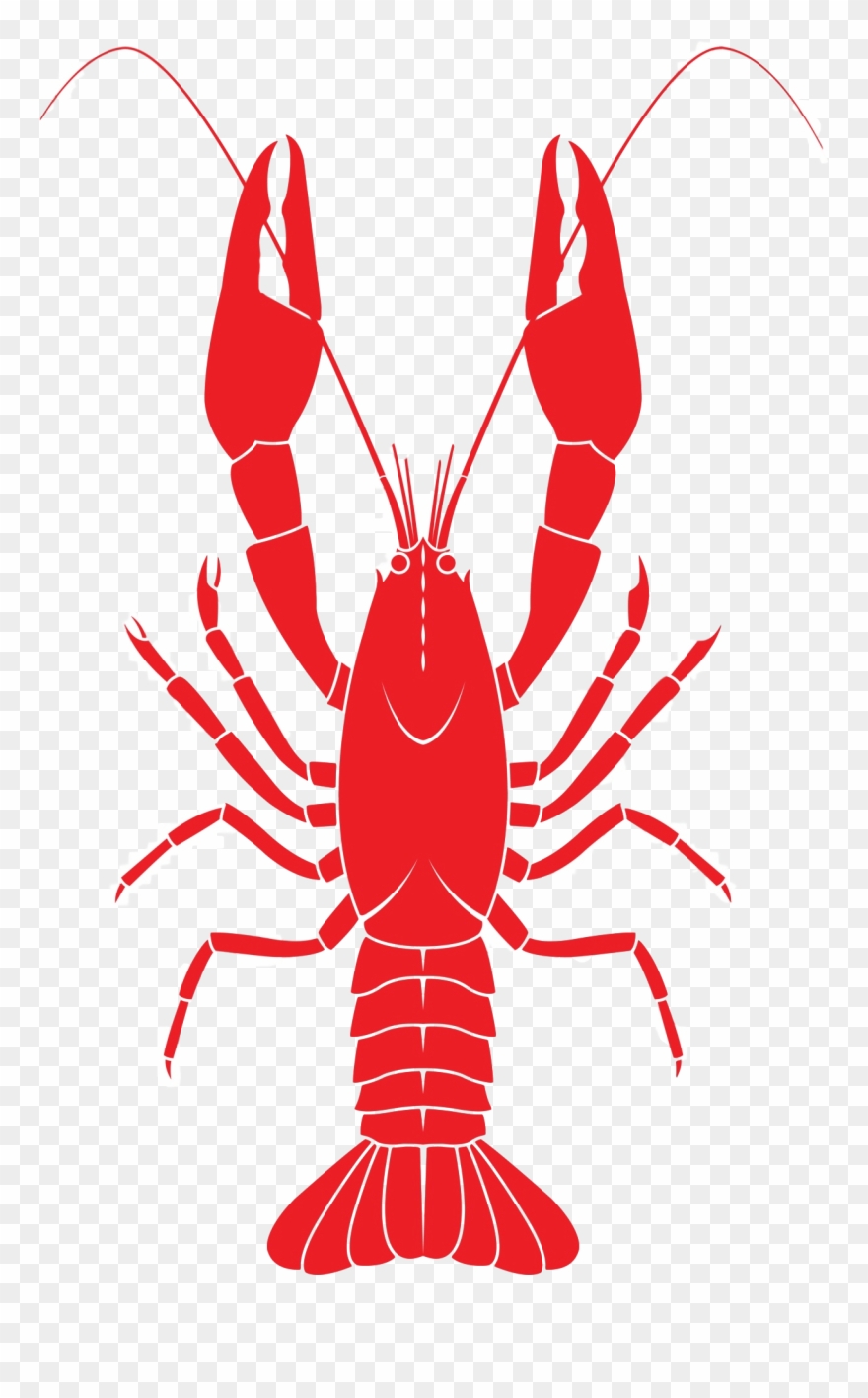 880x1416 Lobster For Taiapure