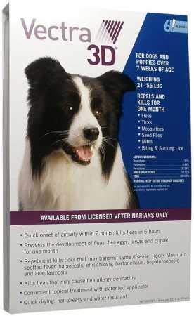 Vector Flea And Tick