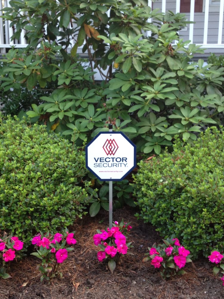 750x1000 Vector Security