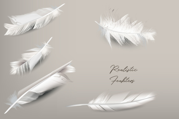 580x387 White Feather Vector Realistic Clipart Graphic