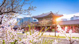 Hồ Sơ Du Học Hàn Quốc