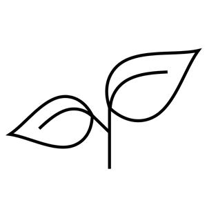 Regenerierenbutton