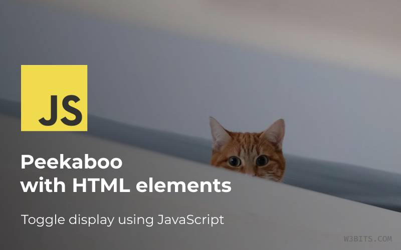 JavaScript Toggle Display