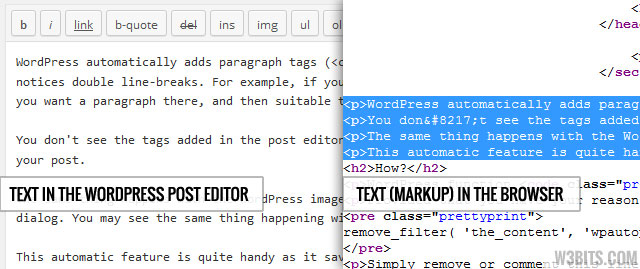 Auto paragraphs added by wpautop()