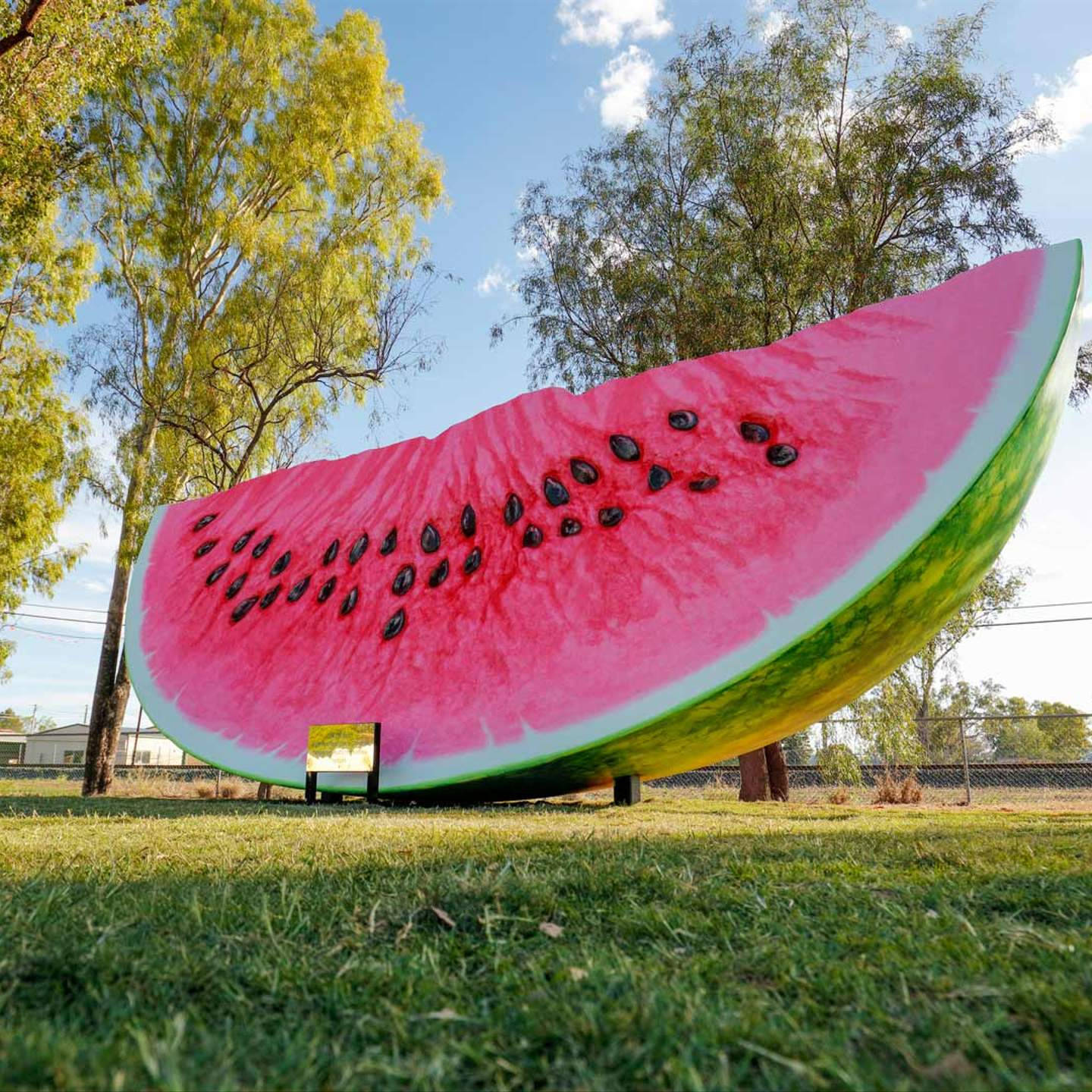 Storvattenmelon (could Be A Possible Computer Or Mobile Wallpaper Design) Wallpaper