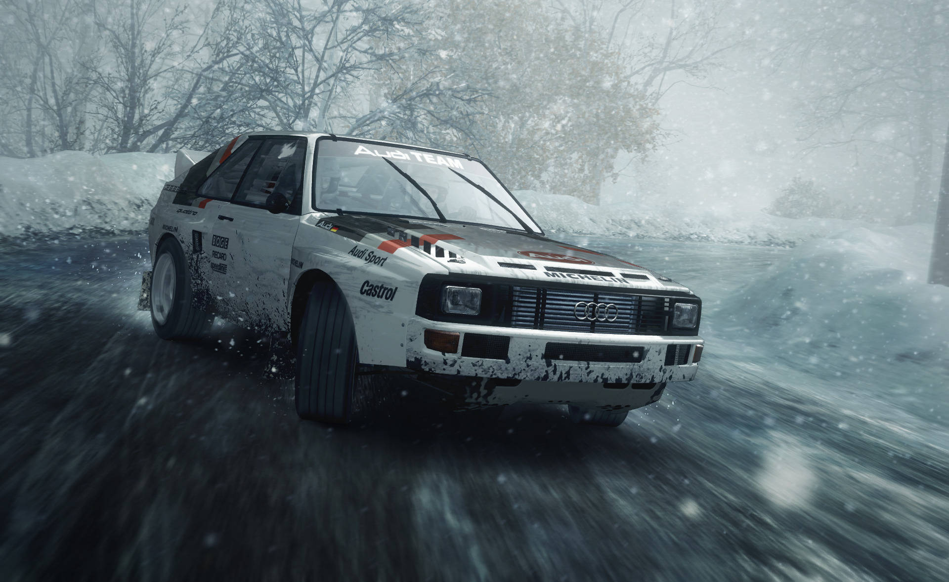 Skov Rally Audi Sport Quattro. Wallpaper