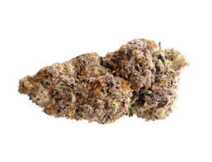 Blue Samurai - Grandiflora Genetics (AAAA Cali)