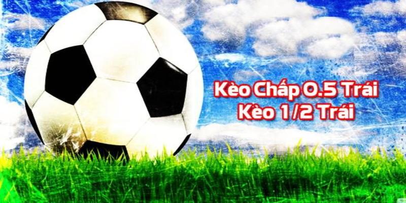 Giải Mã Kèo 0.5 Là Gì? Hướng Dẫn Cách Đọc Kèo 0.5 Chi Tiết