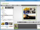 Project Window